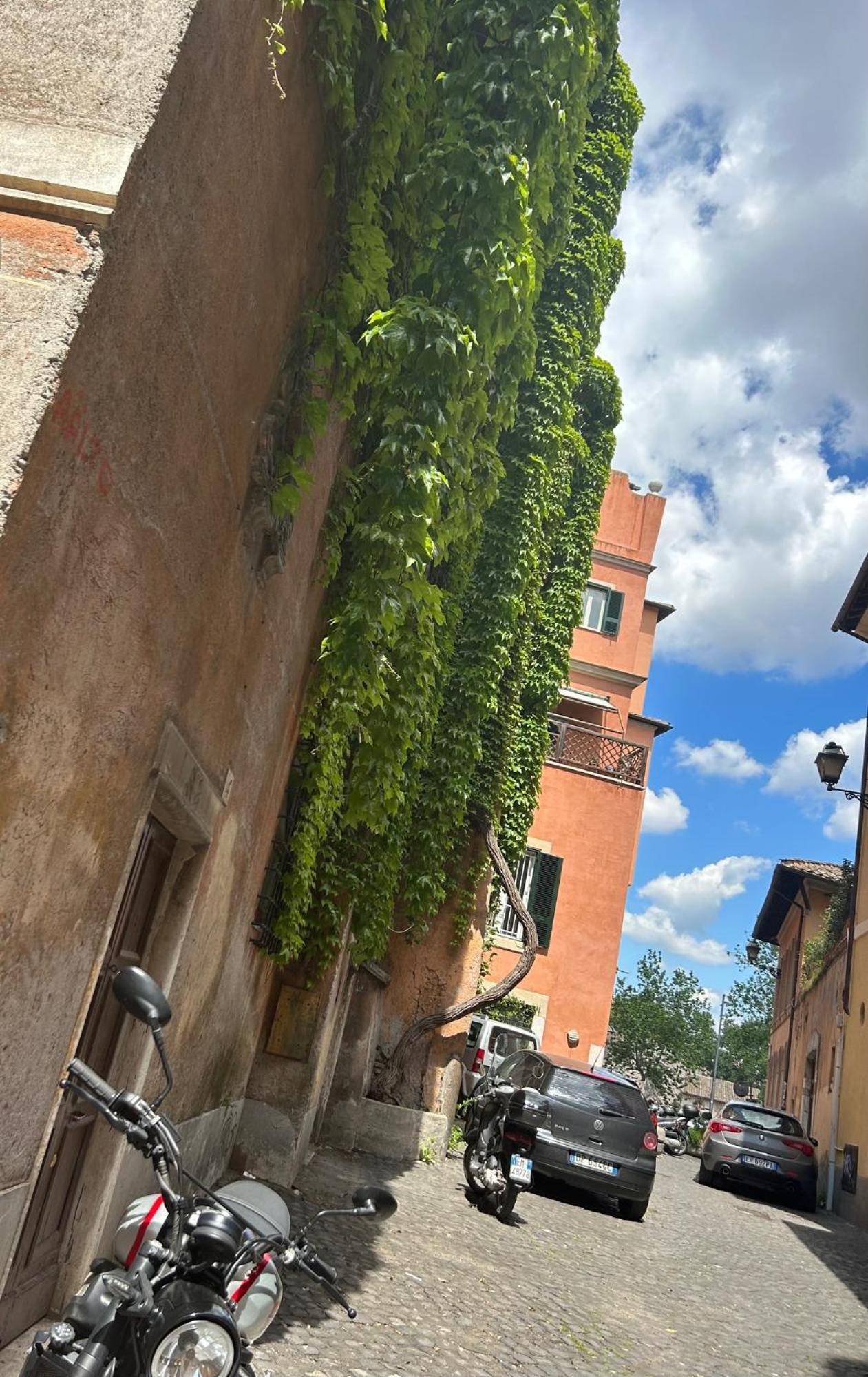 Garden House Trastevere Apartamento Roma