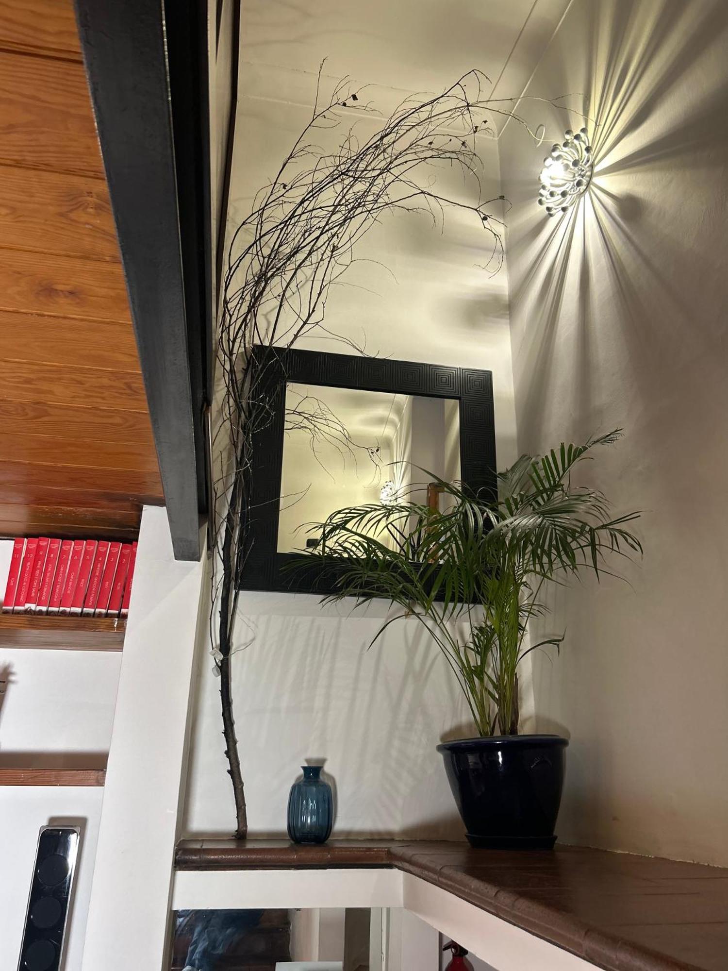 Apartamento Garden House Trastevere Roma
